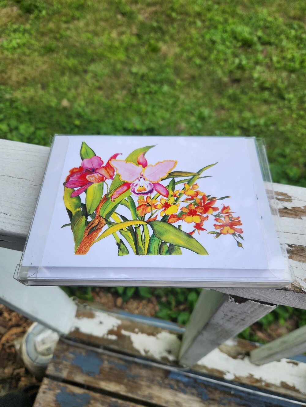 La Paloma Press Floral Note Card Set Of 8 - Watercolor Flowers (Multicolor) NIB